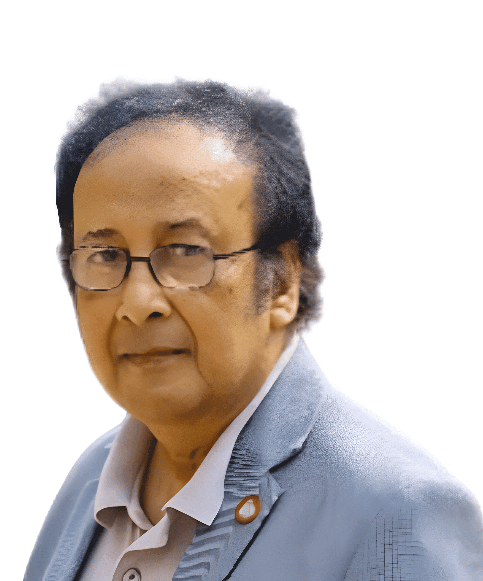 Professor Dr. Mofakharul Islam